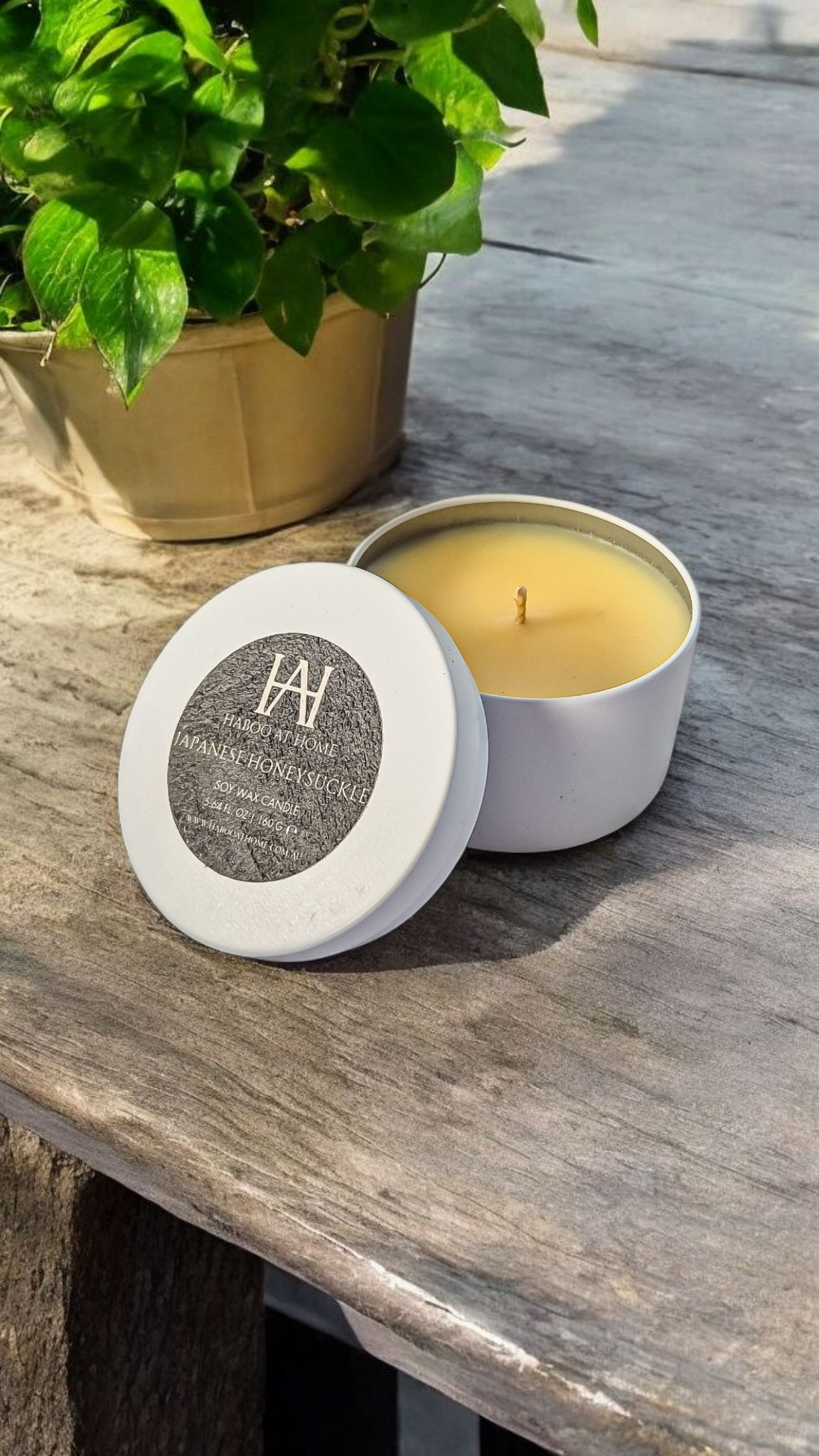 Japanese Honeysuckle Tin Candle